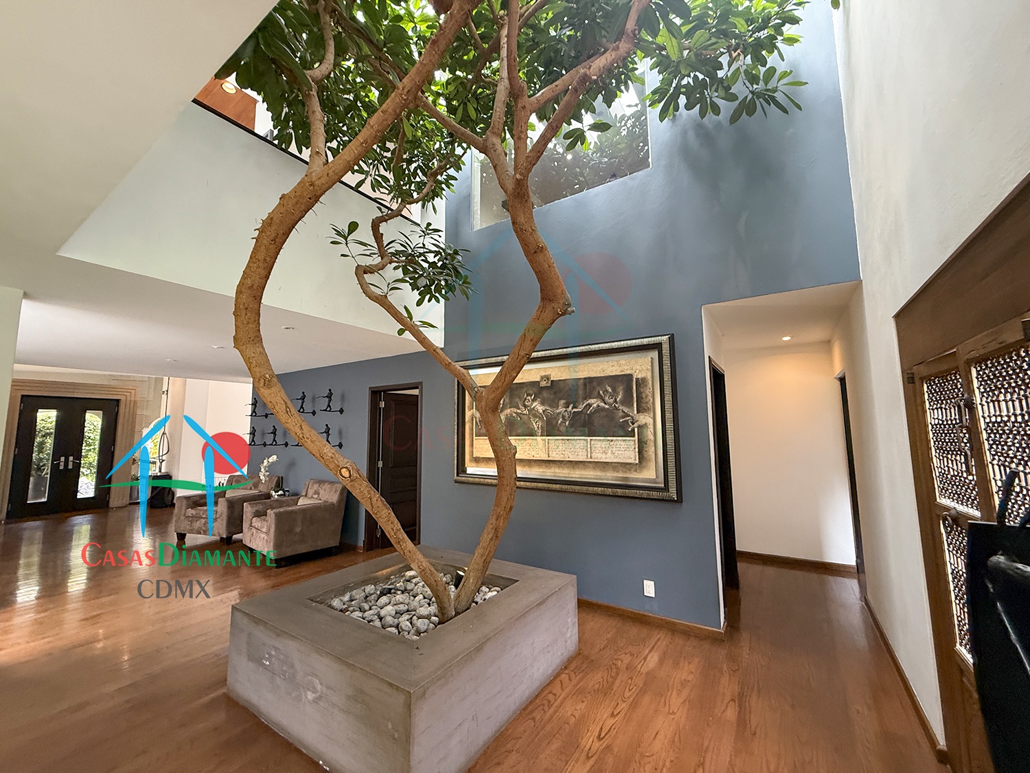 Jardines del Pedregal Casa Árbol B - Vestíbulo de acceso 10